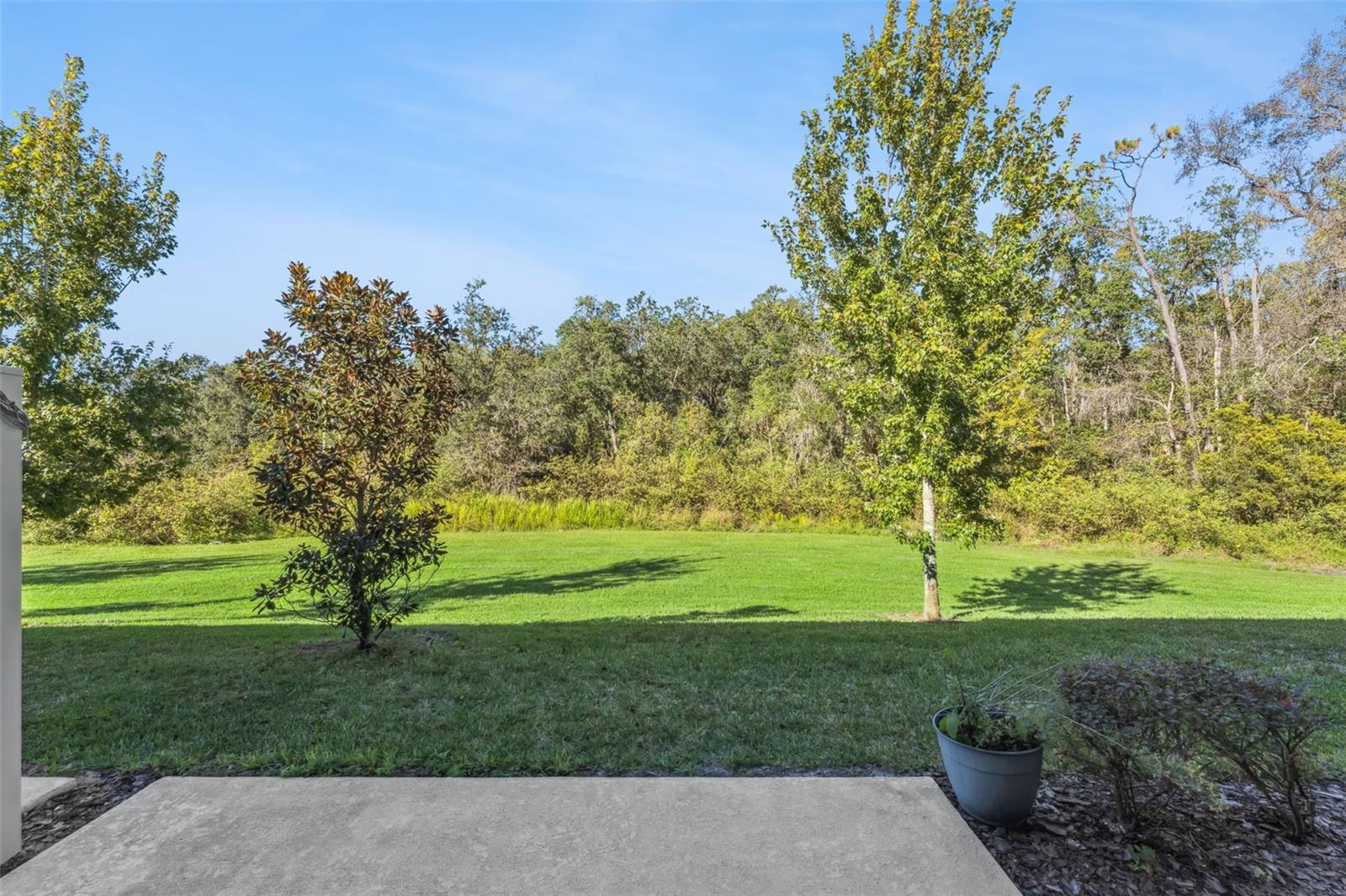 Image 5 of 20 For 2093 Crystal Bell Street