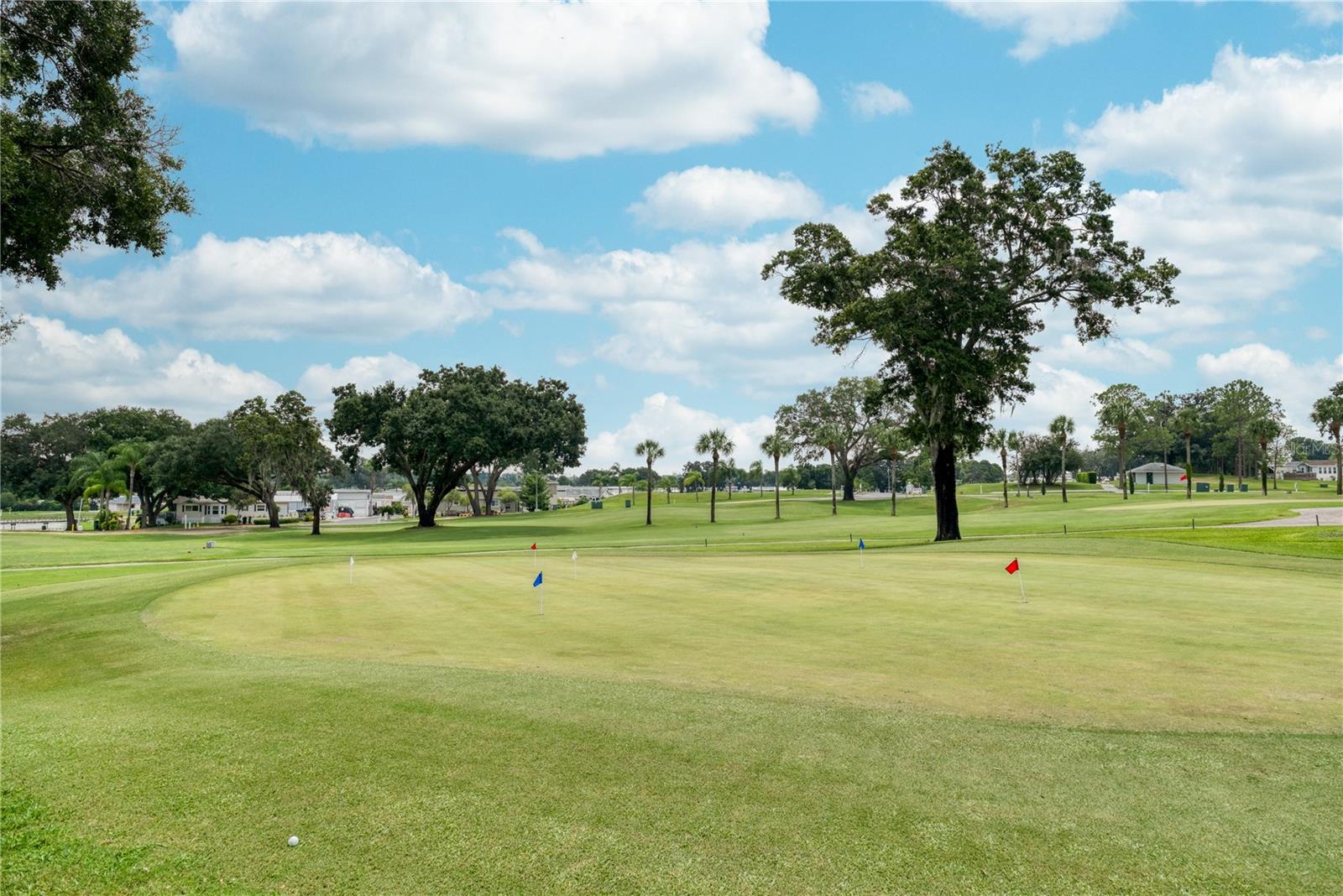 Image 10 of 18 For 833 St George Drive