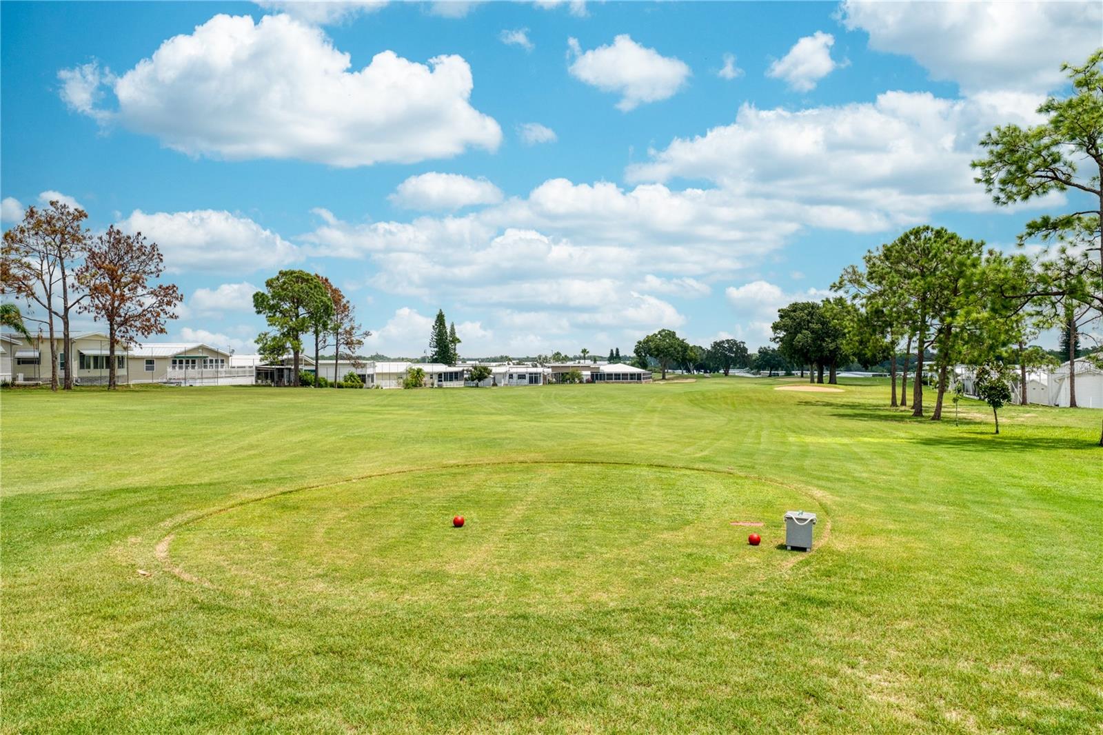 Image 5 of 18 For 833 St George Drive