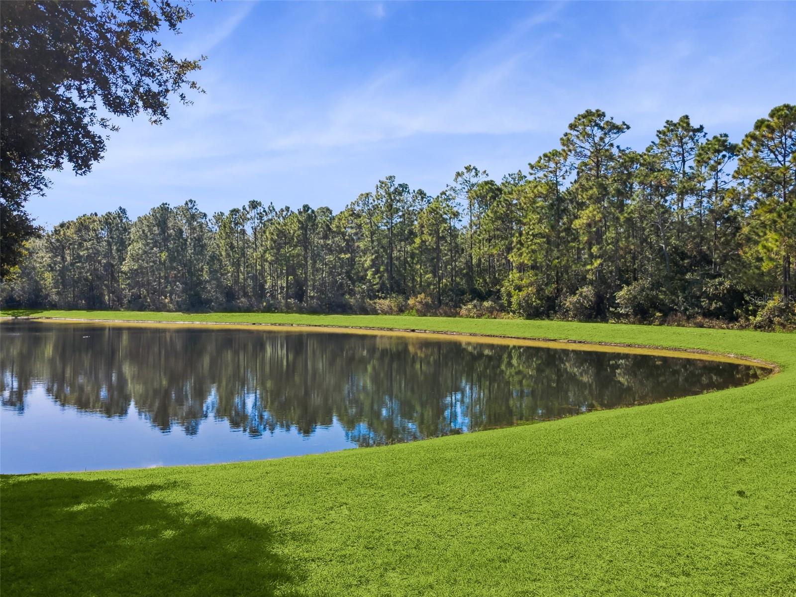 Image 28 of 59 For 9055 Treasure Trove Lane 107