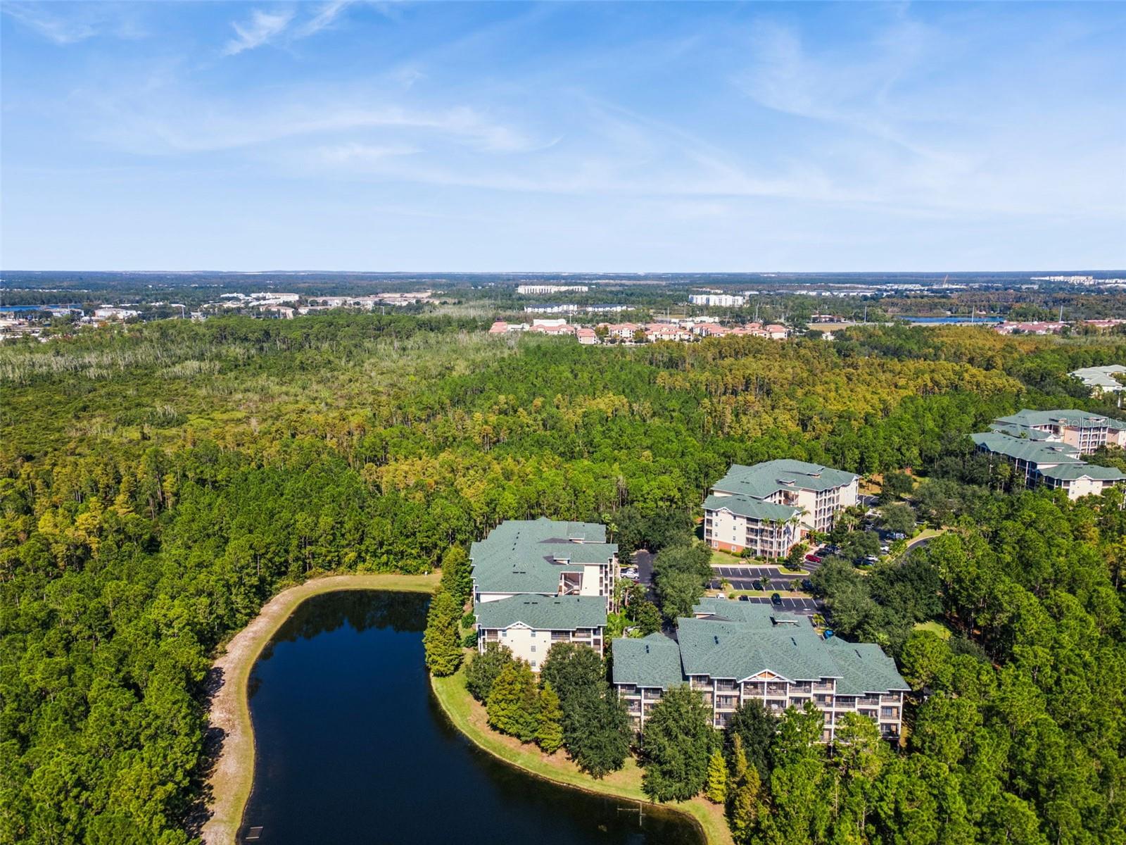 Image 33 of 59 For 9055 Treasure Trove Lane 107