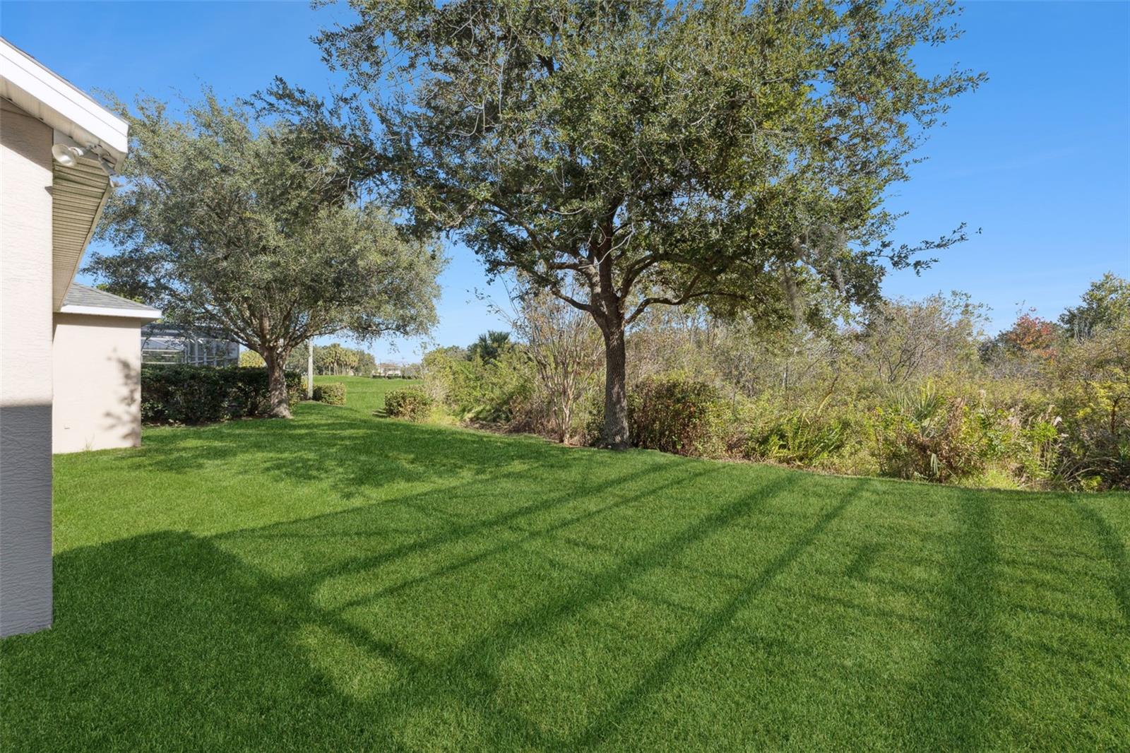 Image 19 of 33 For 2589 Corbyton Court