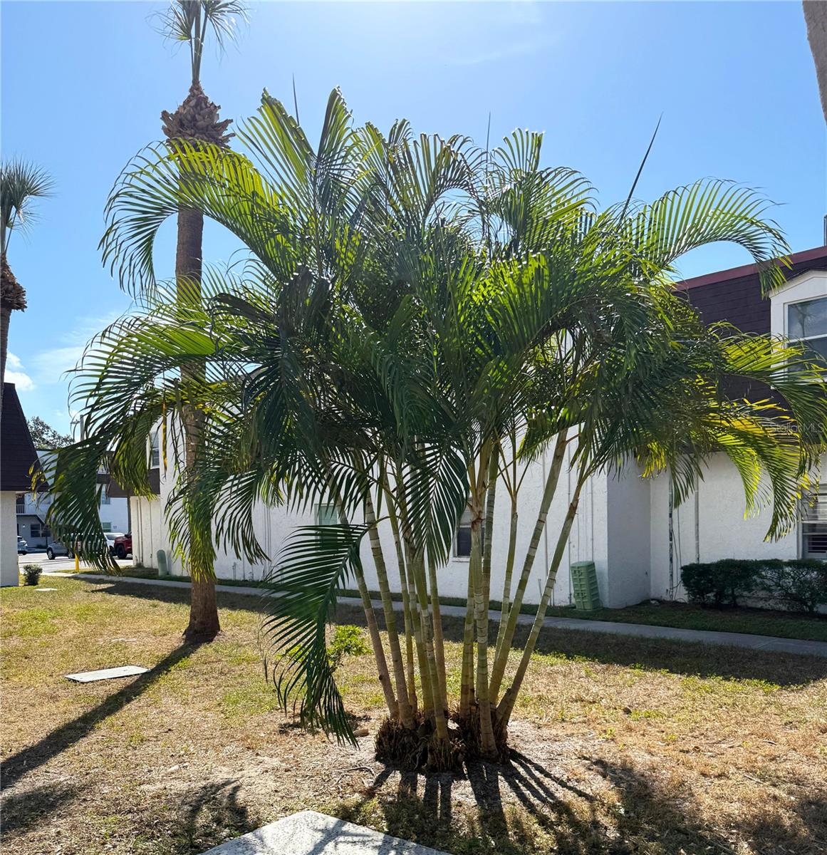 Image 5 of 26 For 9002 Tudor Drive K201