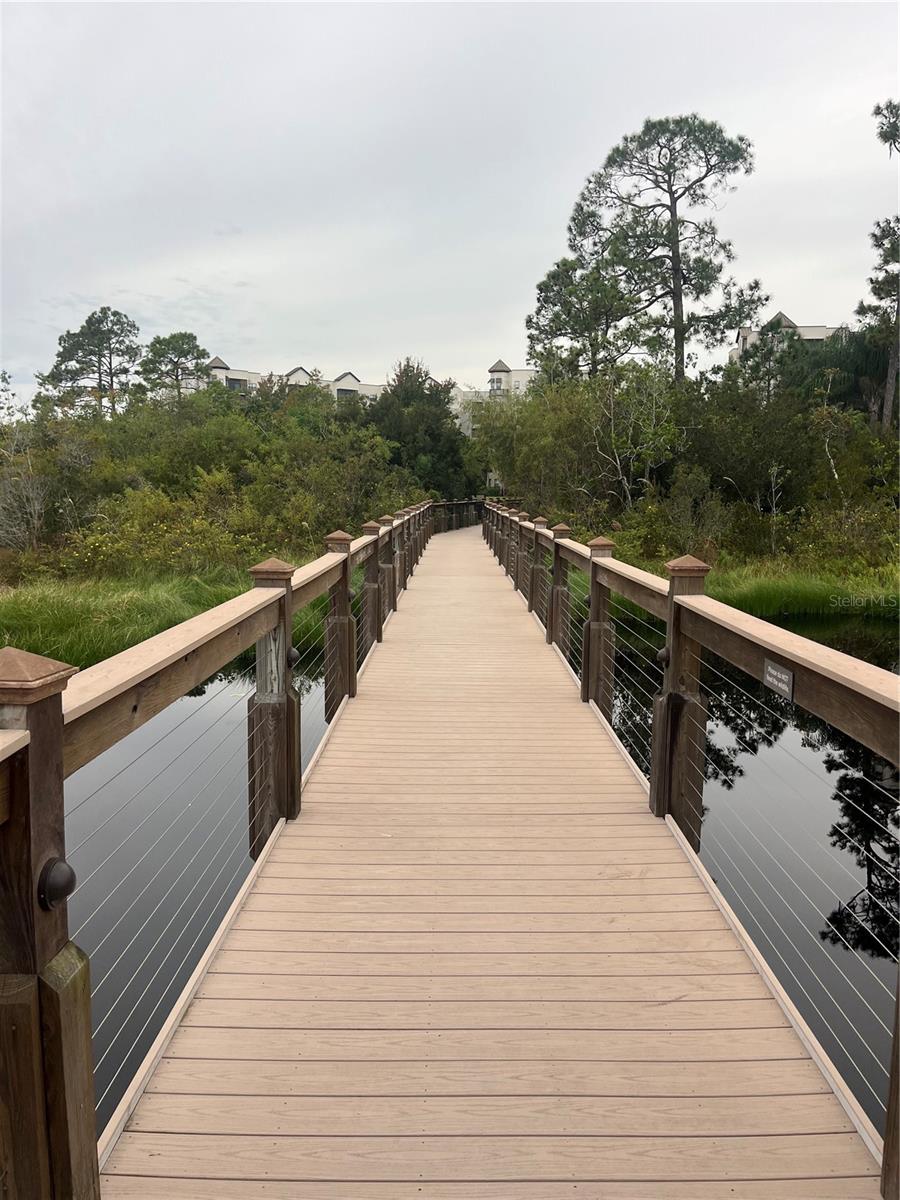 Image 40 of 56 For 14501 Grove Resort Avenue 1545