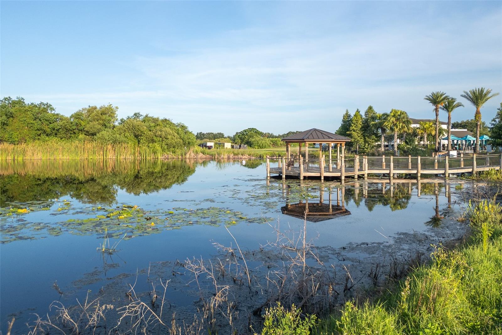 Image 32 of 43 For 207 Macaulays Cove