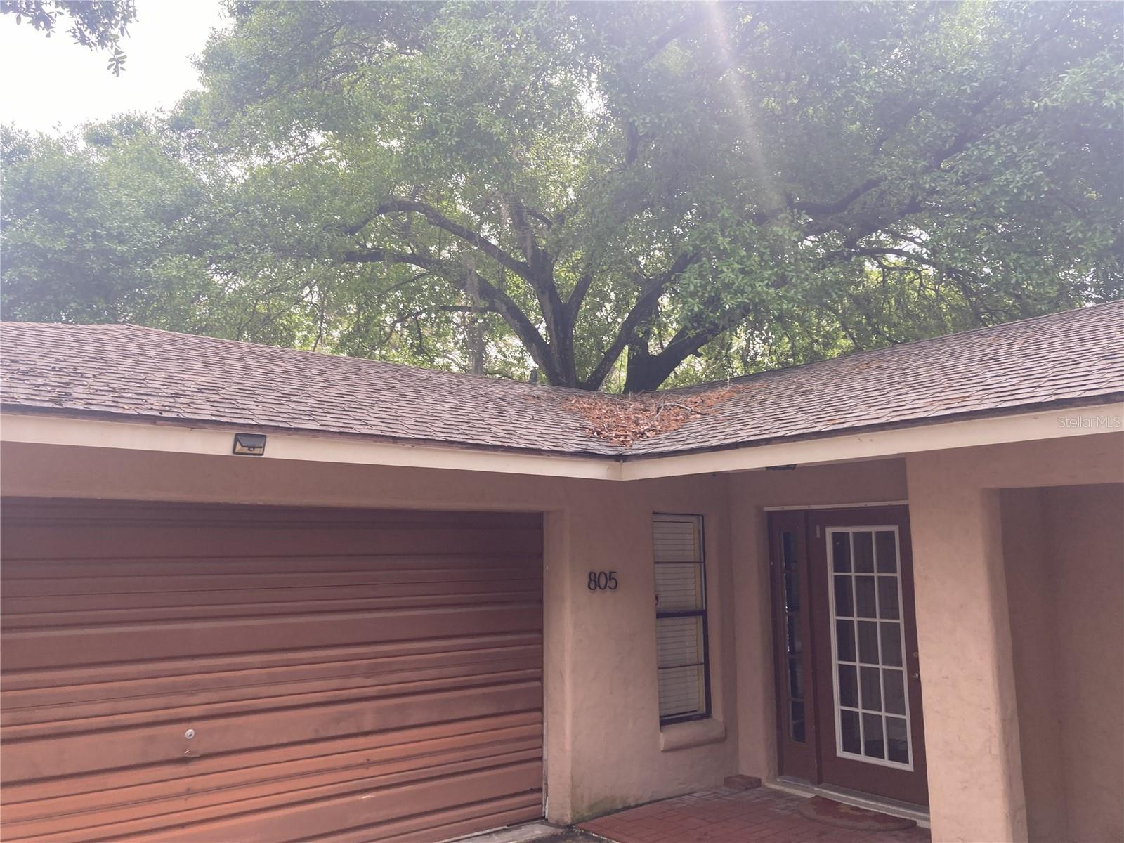 Listing photo id 10 for 805 Oakdale Street