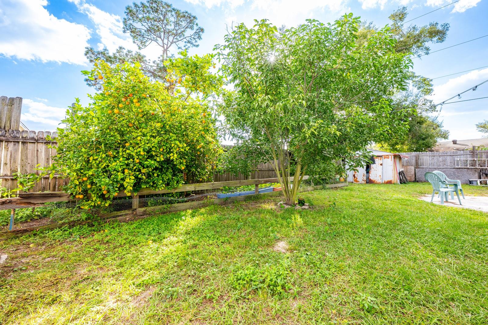 Image 18 of 20 For 4046 Luan Drive