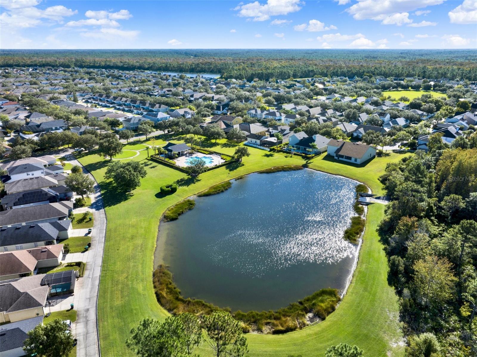 Listing photo id 42 for 14236 Golden Rain Tree Boulevard