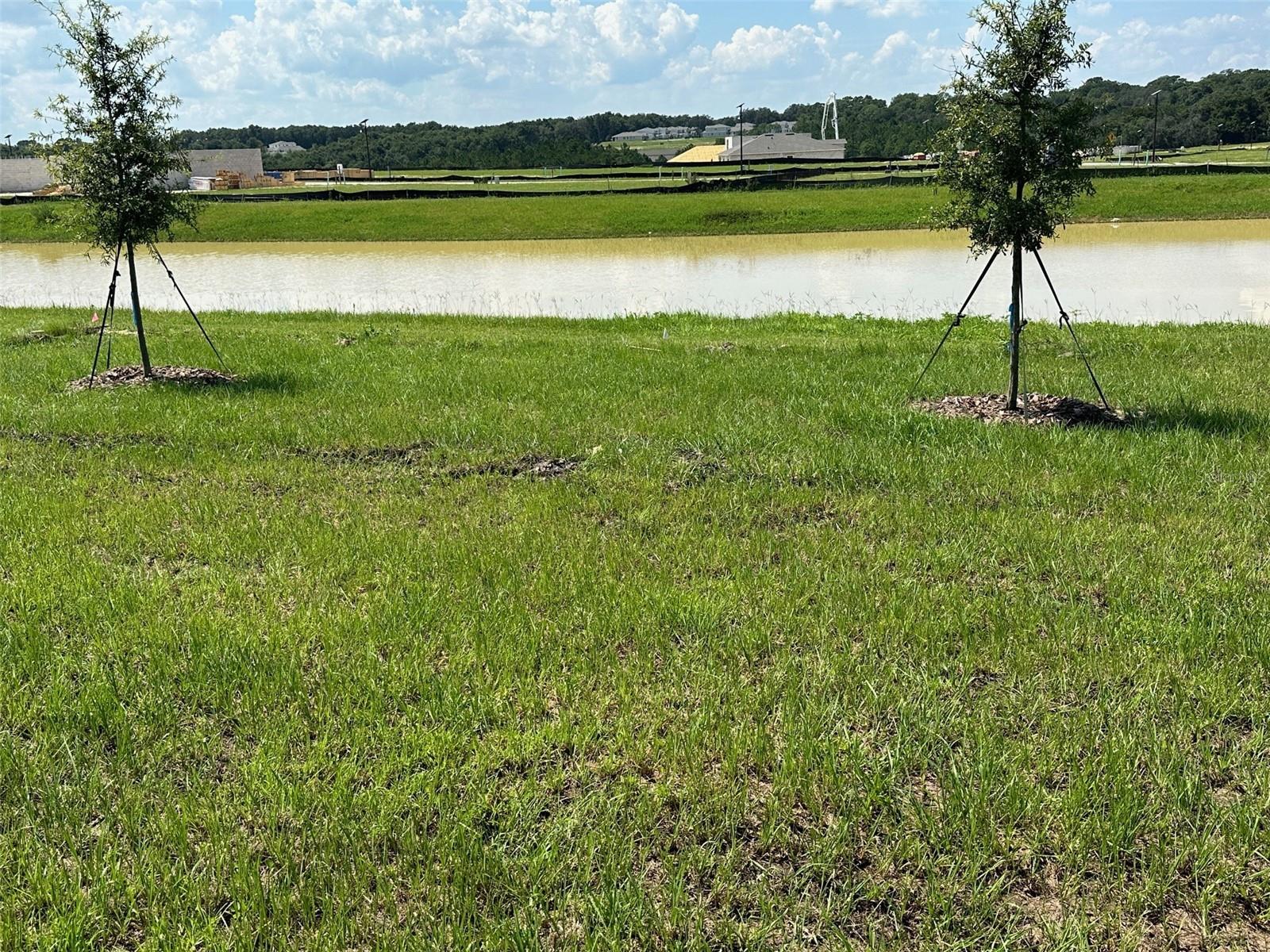 Image 18 of 22 For 1365 Calmito Lane