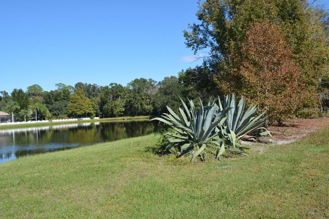 Image 10 of 60 For 0 Hester Avenue Avenue