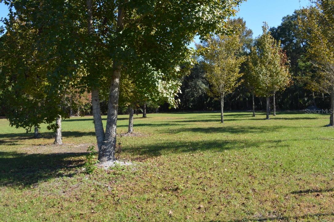 Image 11 of 60 For 0 Hester Avenue Avenue