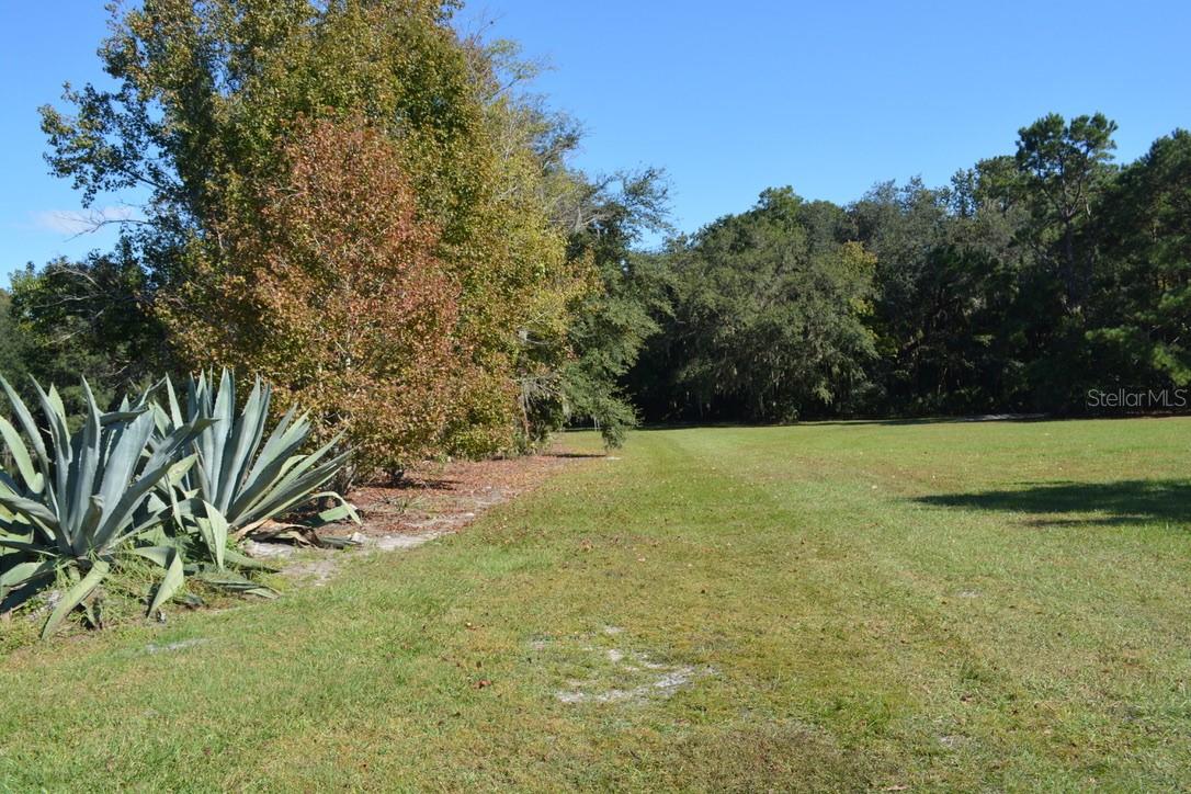 Image 13 of 60 For 0 Hester Avenue Avenue