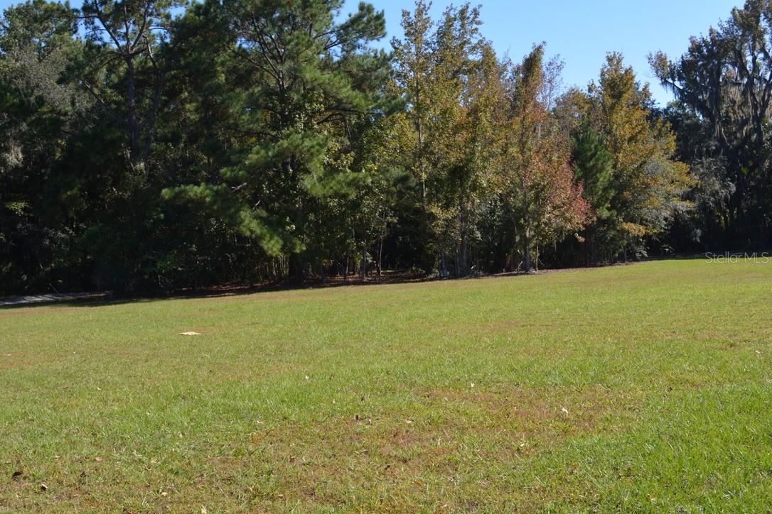 Image 14 of 60 For 0 Hester Avenue Avenue