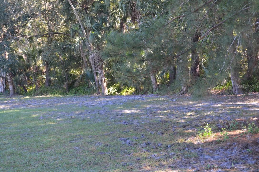 Image 21 of 60 For 0 Hester Avenue Avenue