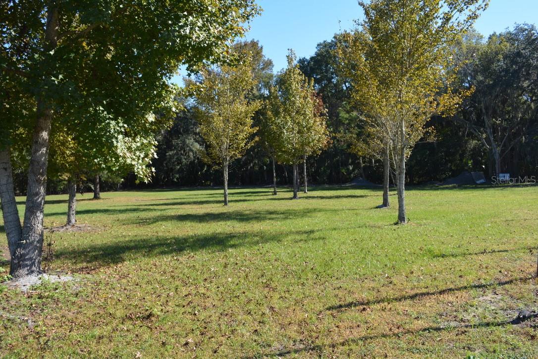 Image 32 of 60 For 0 Hester Avenue Avenue