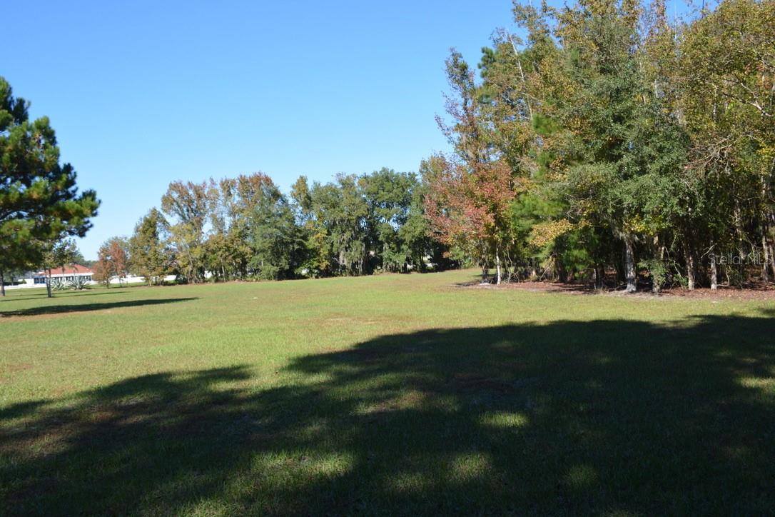 Image 50 of 60 For 0 Hester Avenue Avenue