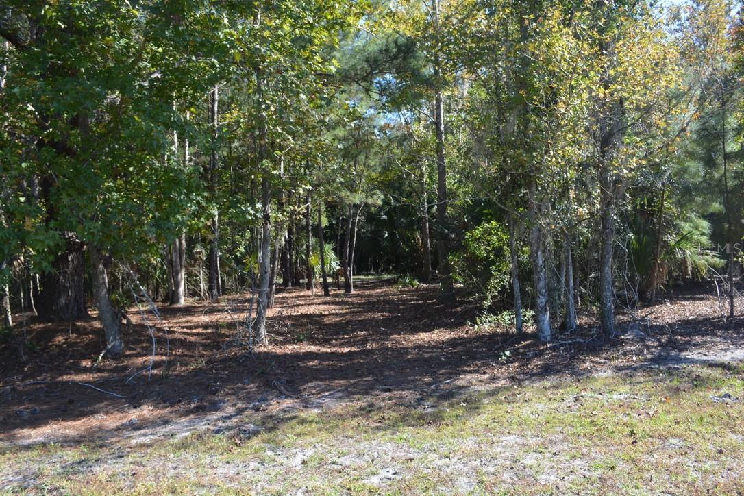 Image 52 of 60 For 0 Hester Avenue Avenue