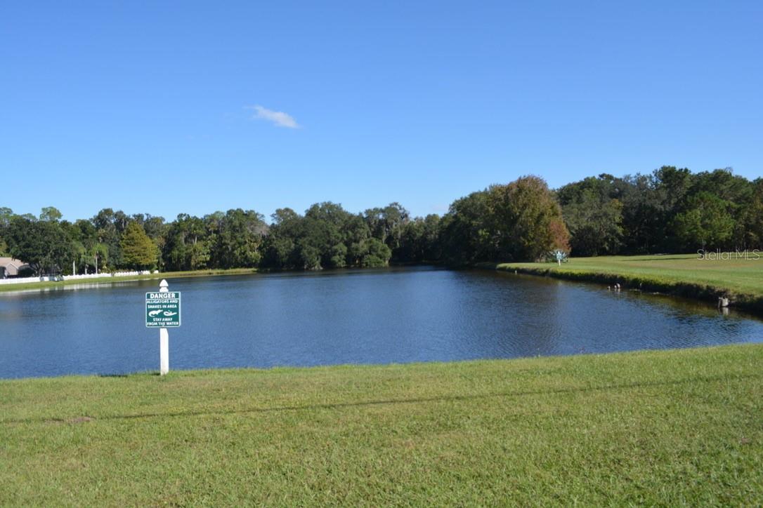 Image 9 of 60 For 0 Hester Avenue Avenue