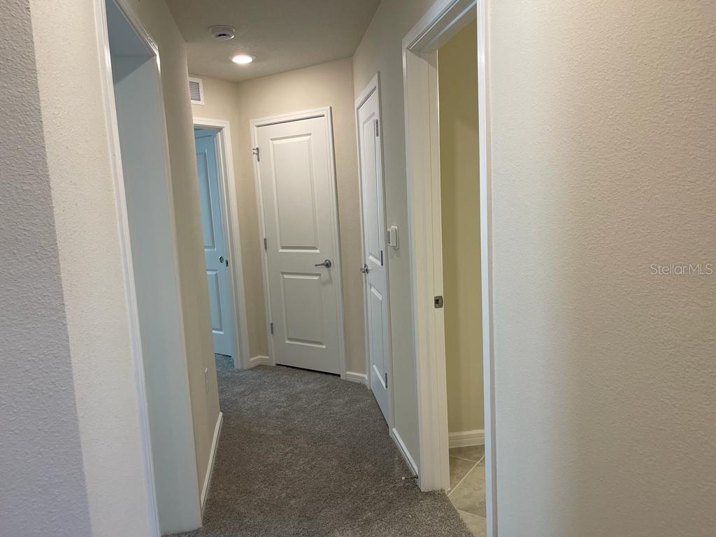 Image 31 of 41 For 1998 Canny Cv