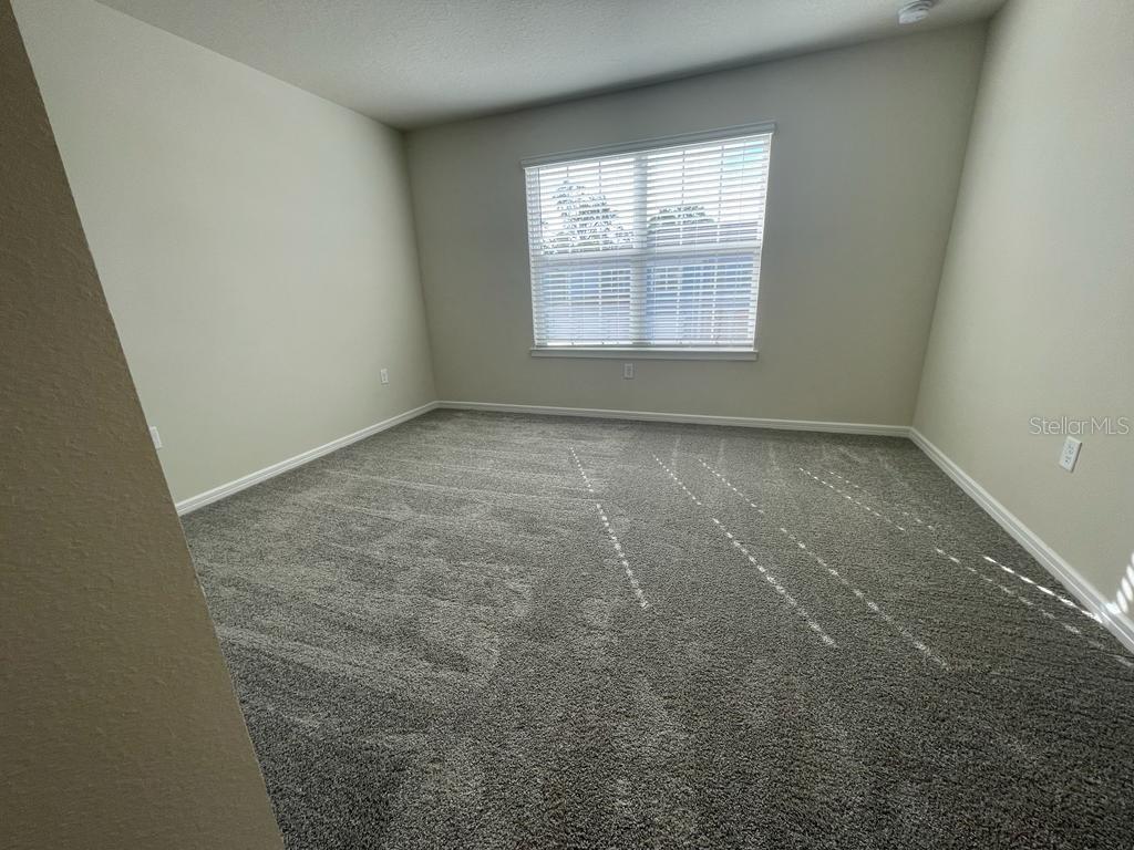 Image 33 of 41 For 1998 Canny Cv