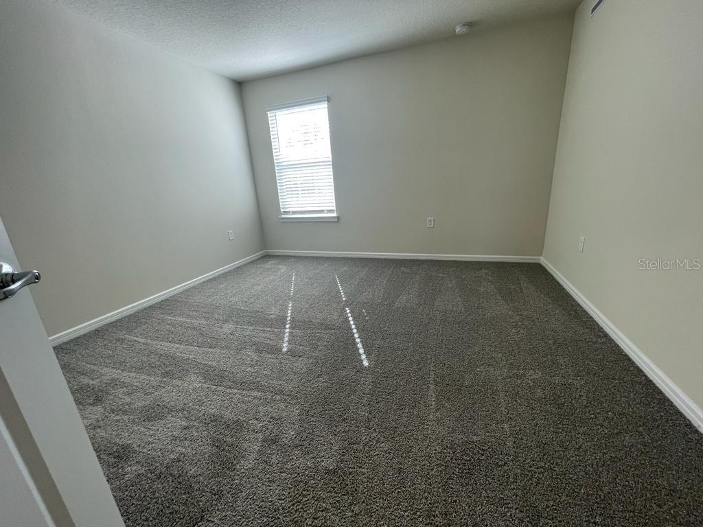 Image 37 of 41 For 1998 Canny Cv