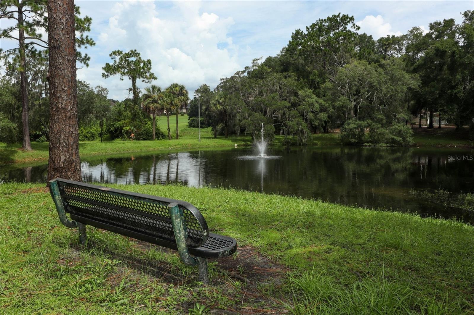 Image 47 of 58 For 141 Duncan Trail