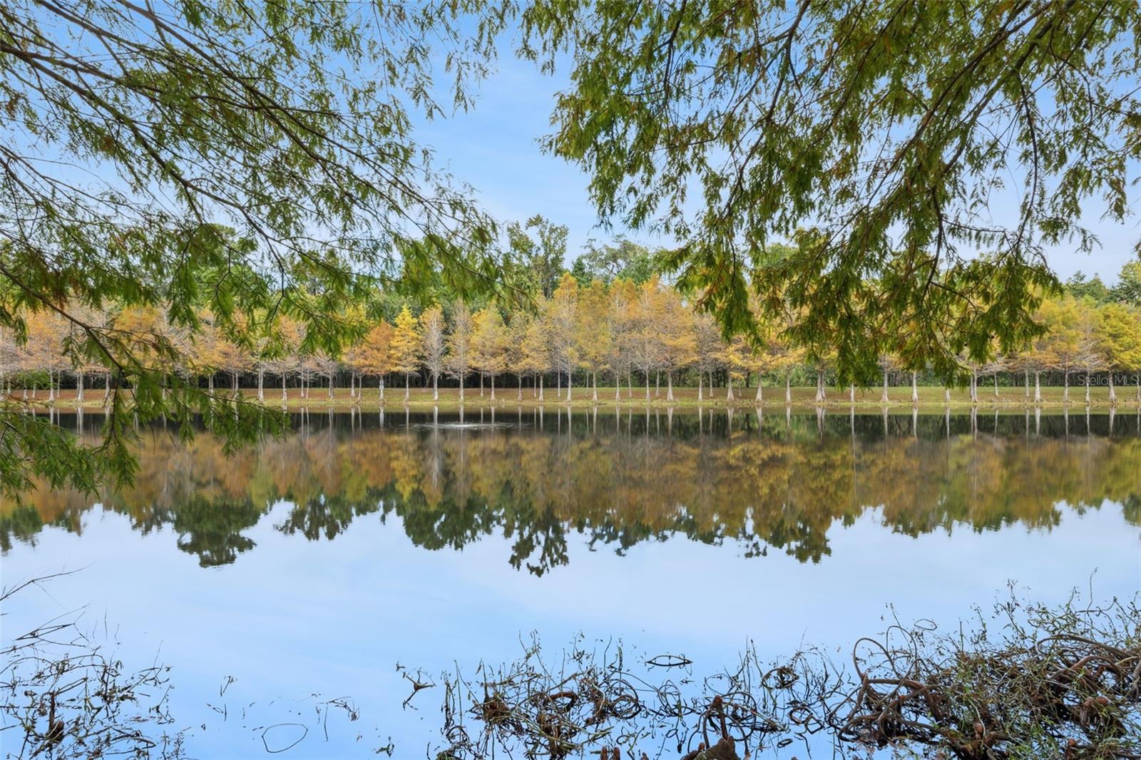 Image 34 of 36 For 5534 Siracusa Lane