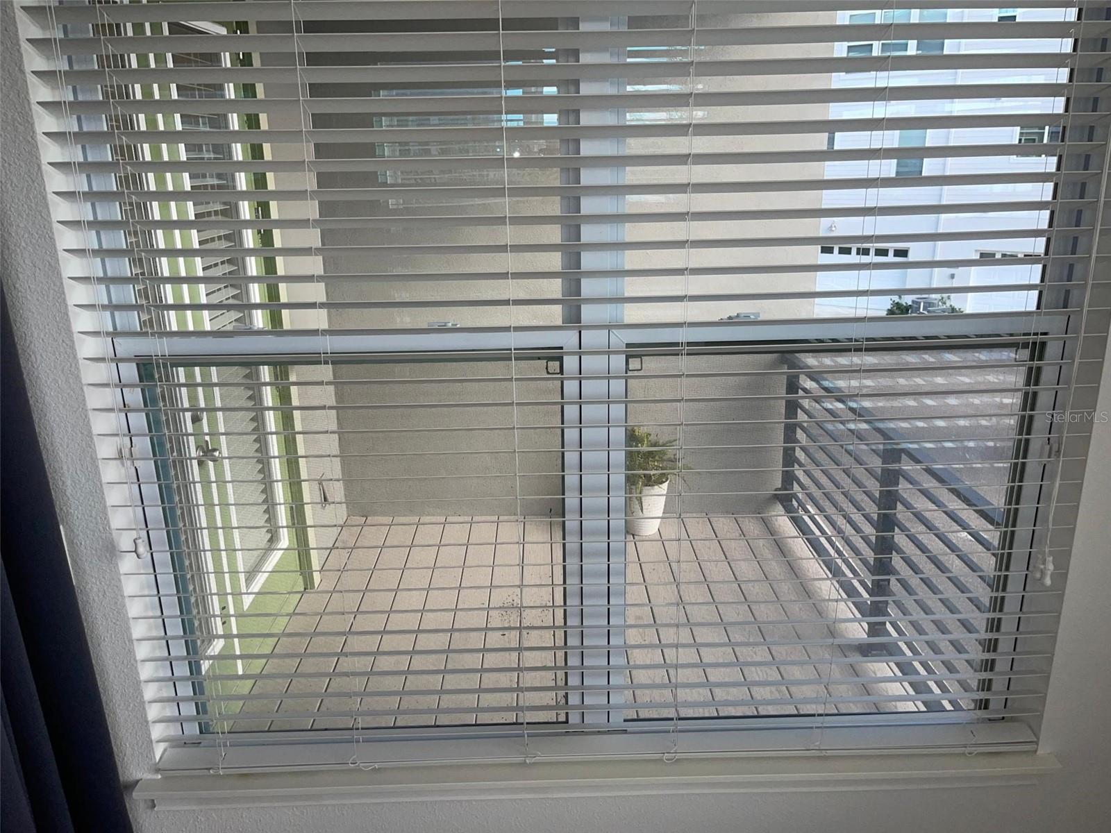 Image 24 of 49 For 8224 Elion Street