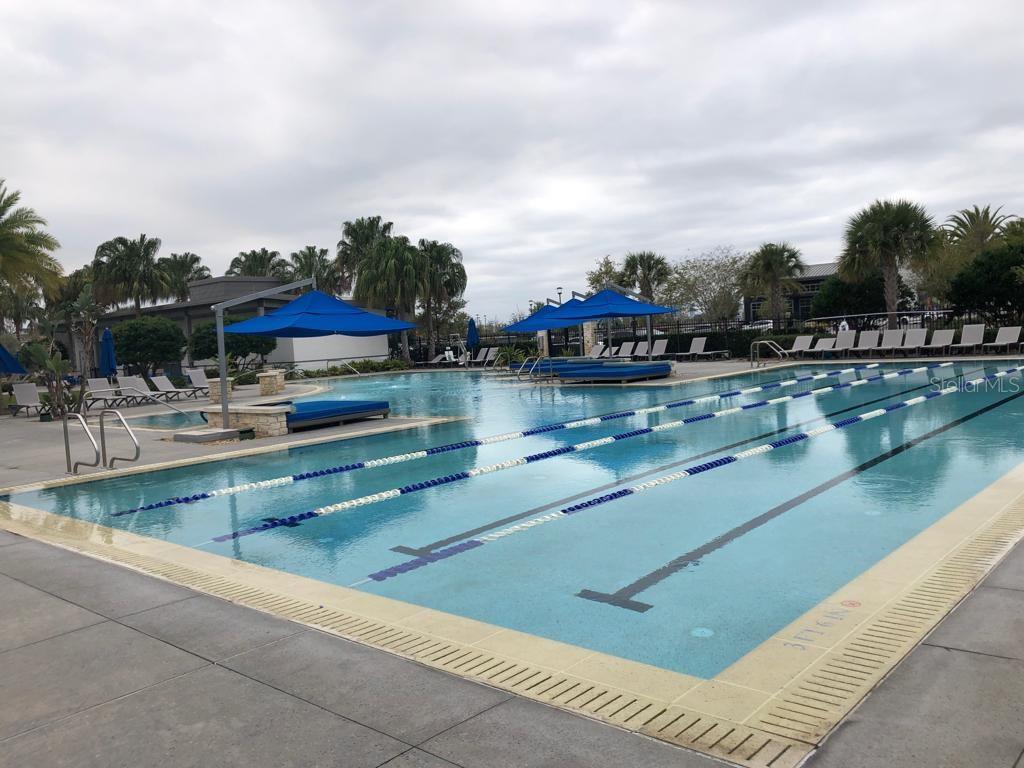 Image 37 of 49 For 8224 Elion Street