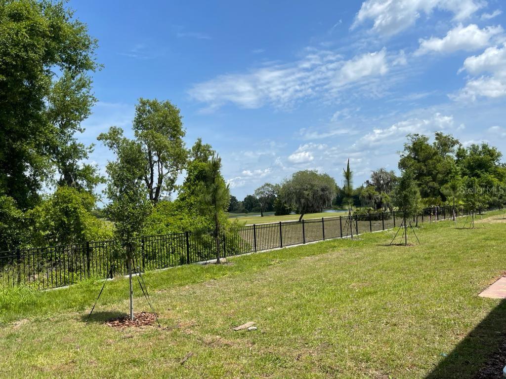 Image 36 of 60 For 975 Robin Holly Street