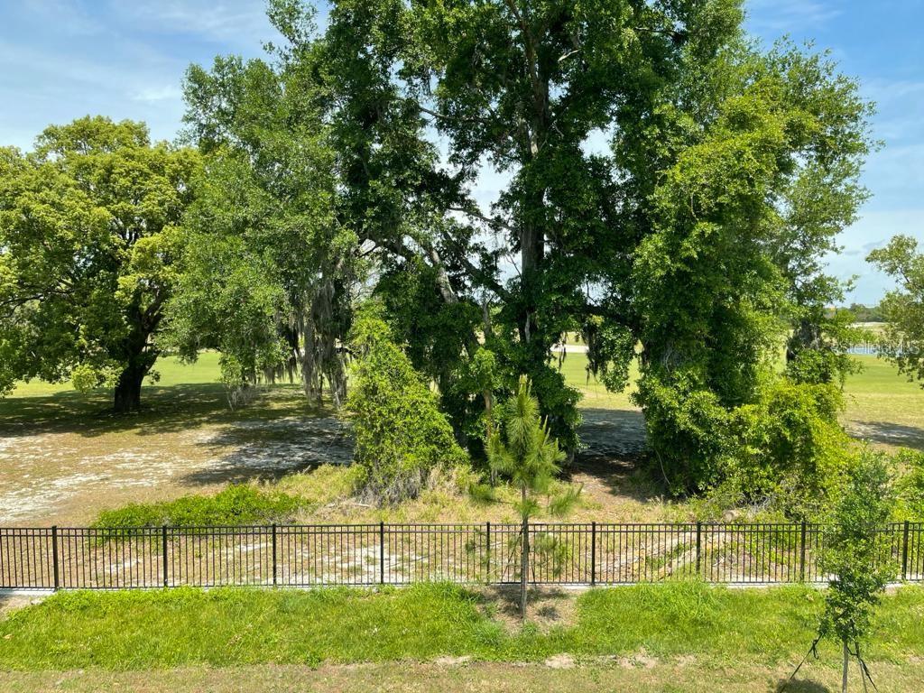 Image 38 of 60 For 975 Robin Holly Street