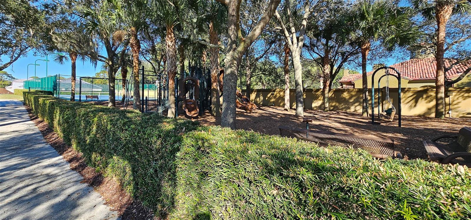 Image 49 of 82 For 6115 Anello Drive