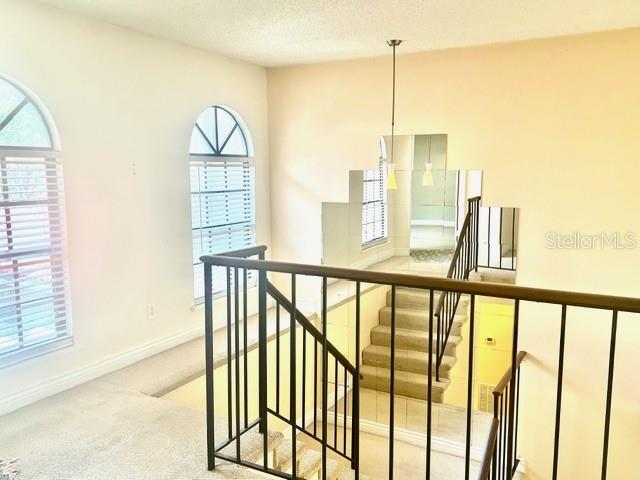 Image 15 of 43 For 8214 Ambrose Cove Way