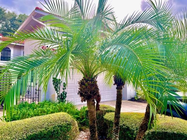 Image 9 of 43 For 8214 Ambrose Cove Way