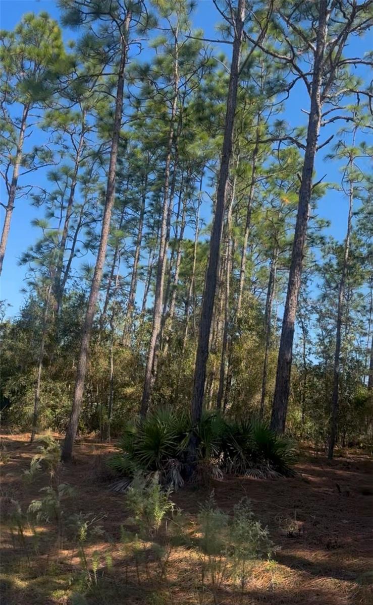 Details for 128th Terrace Road, OCALA, FL 34481