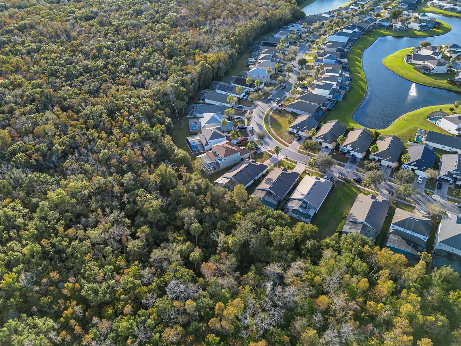 Image 45 of 48 For 4700 Cumbrian Lakes Drive