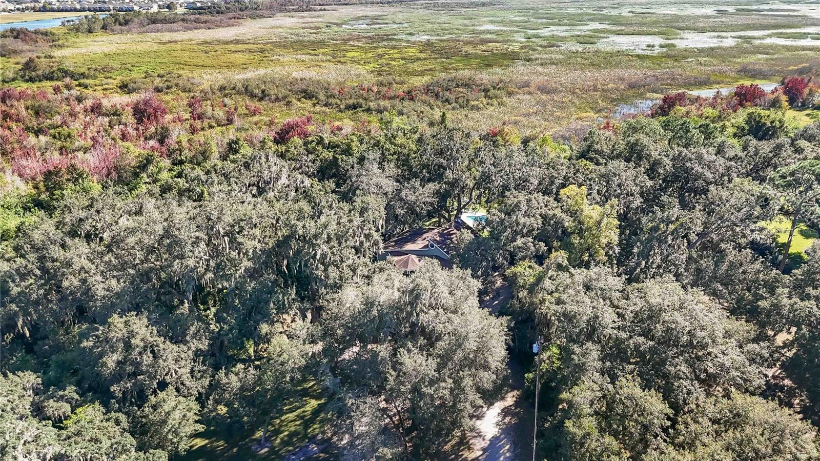 Image 48 of 65 For 4690 Rummell Road