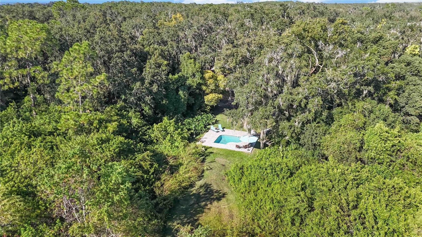 Image 50 of 65 For 4690 Rummell Road