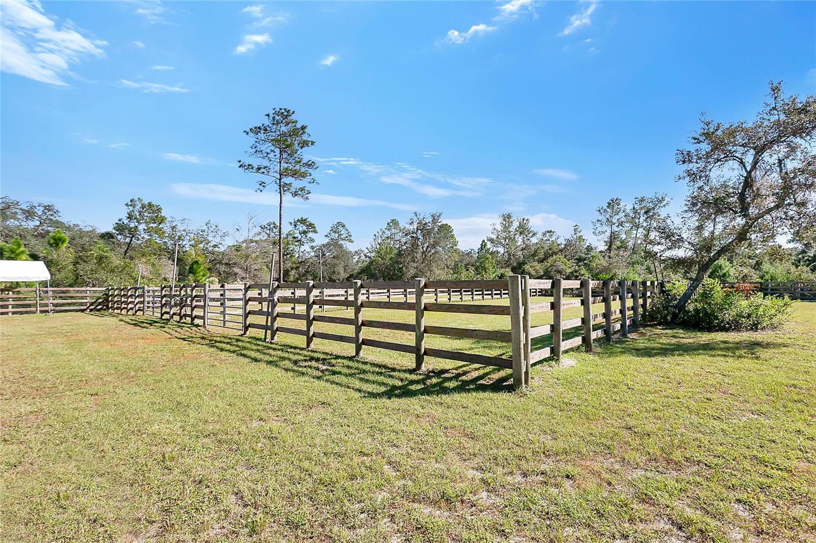 Listing photo id 27 for 3701 Genova Court