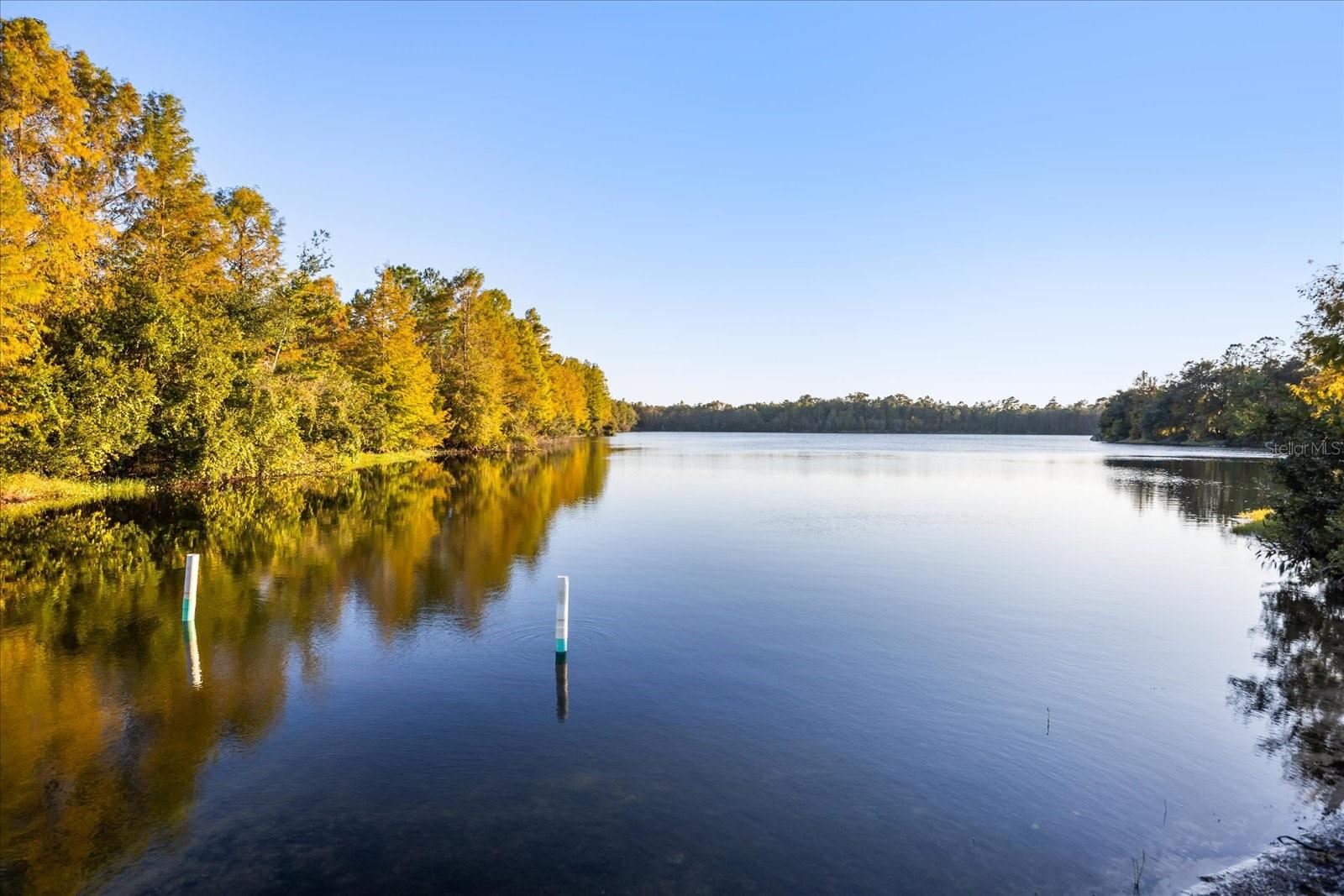 Image 40 of 43 For 5740 Aloma Woods Boulevard