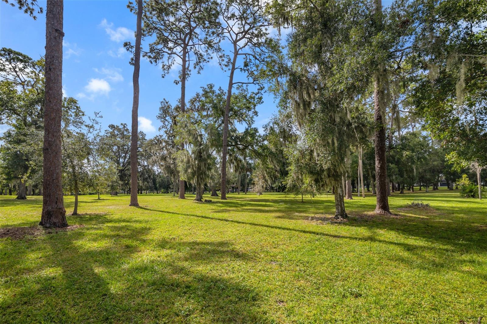 Image 35 of 35 For 529 E Harding St