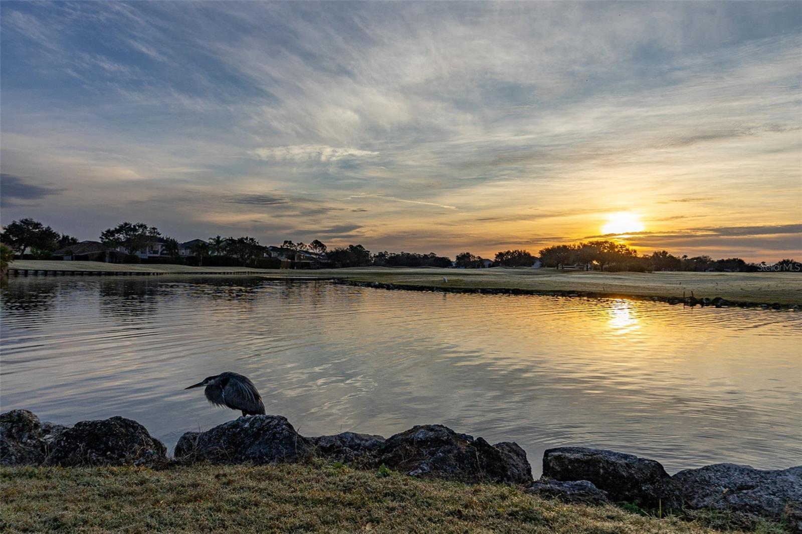 Image 56 of 65 For 13247 Hatherton Circle