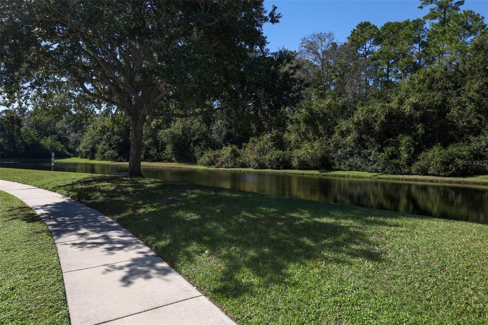 Image 57 of 58 For 1149 Eagles Watch Trail