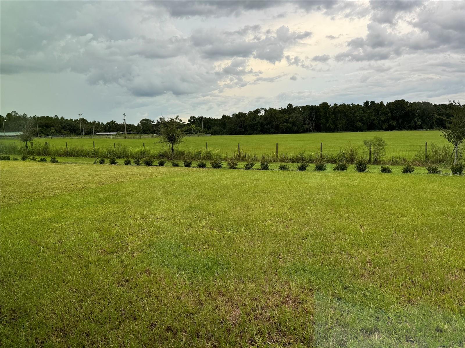 Image 17 of 18 For 7959 Peace Lily Avenue
