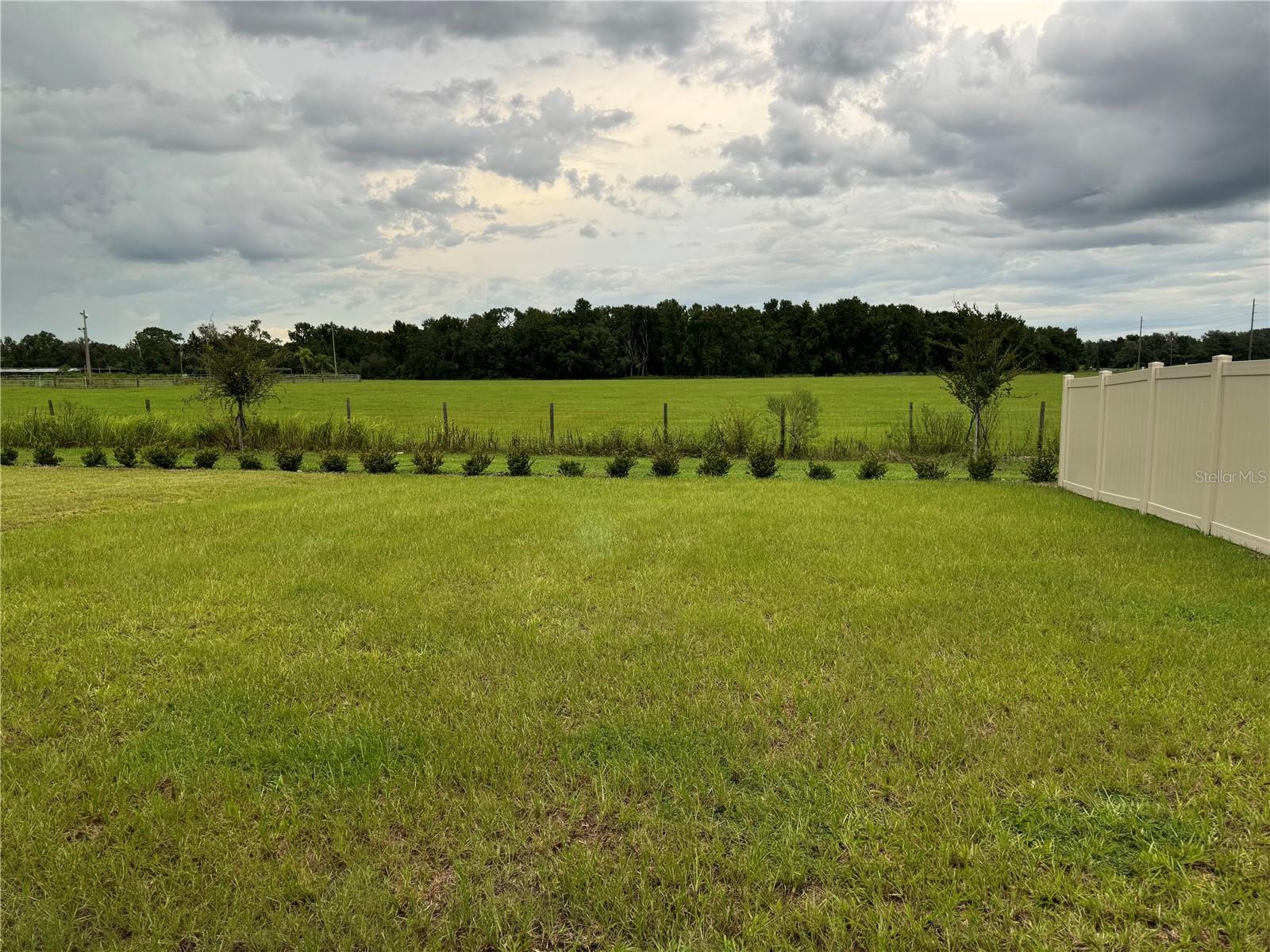 Image 18 of 18 For 7959 Peace Lily Avenue