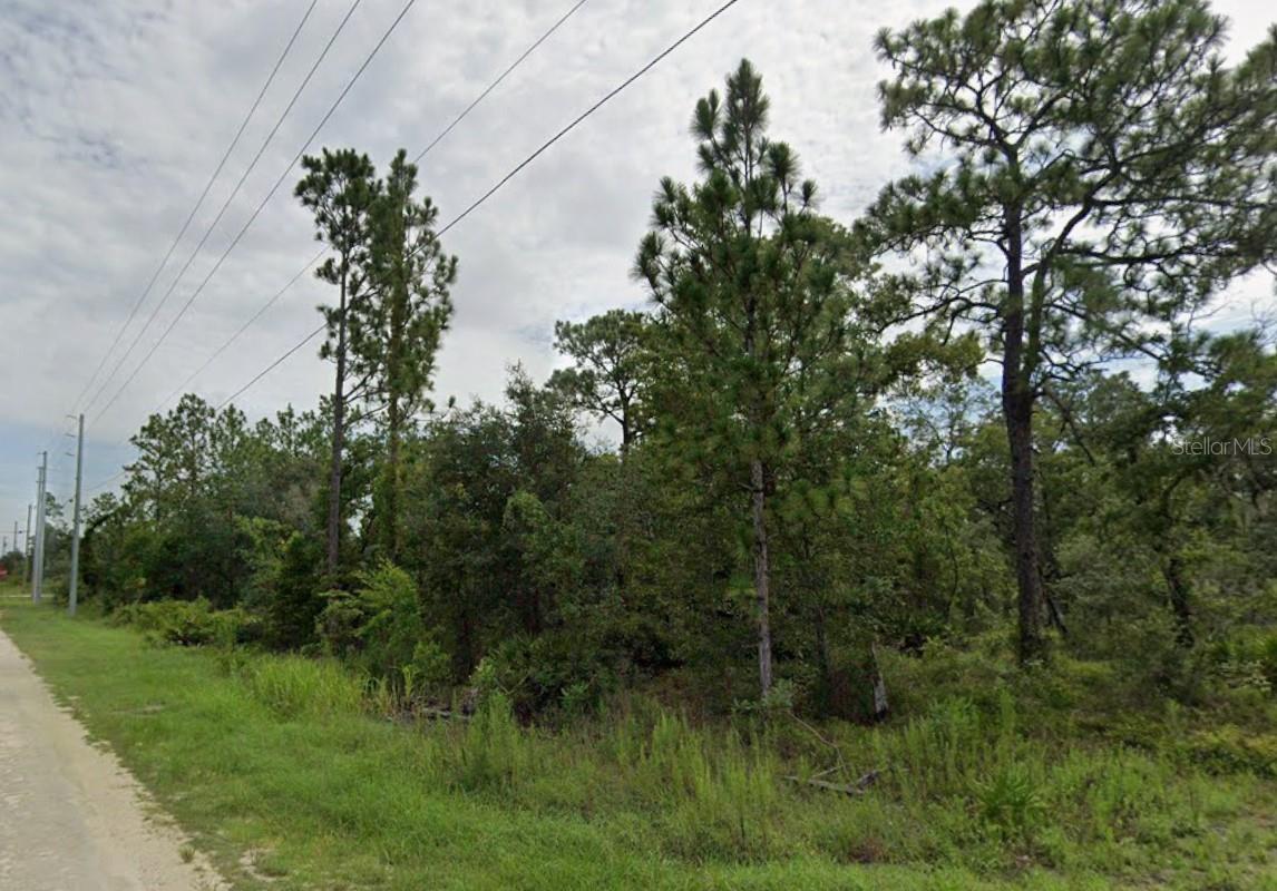 Image 6 of 6 For Goldfinch Road