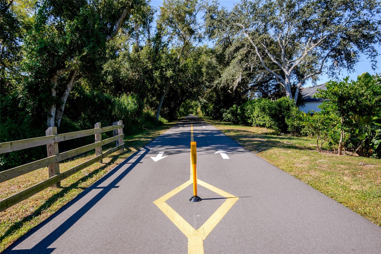 Image 61 of 62 For 1101 Eagles Pass Way