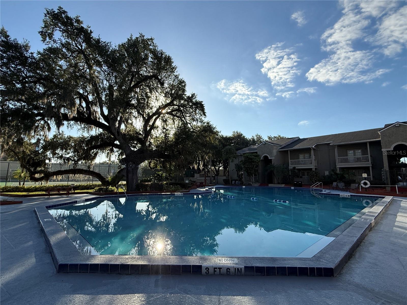 Image 25 of 29 For 425 Wymore Road 103