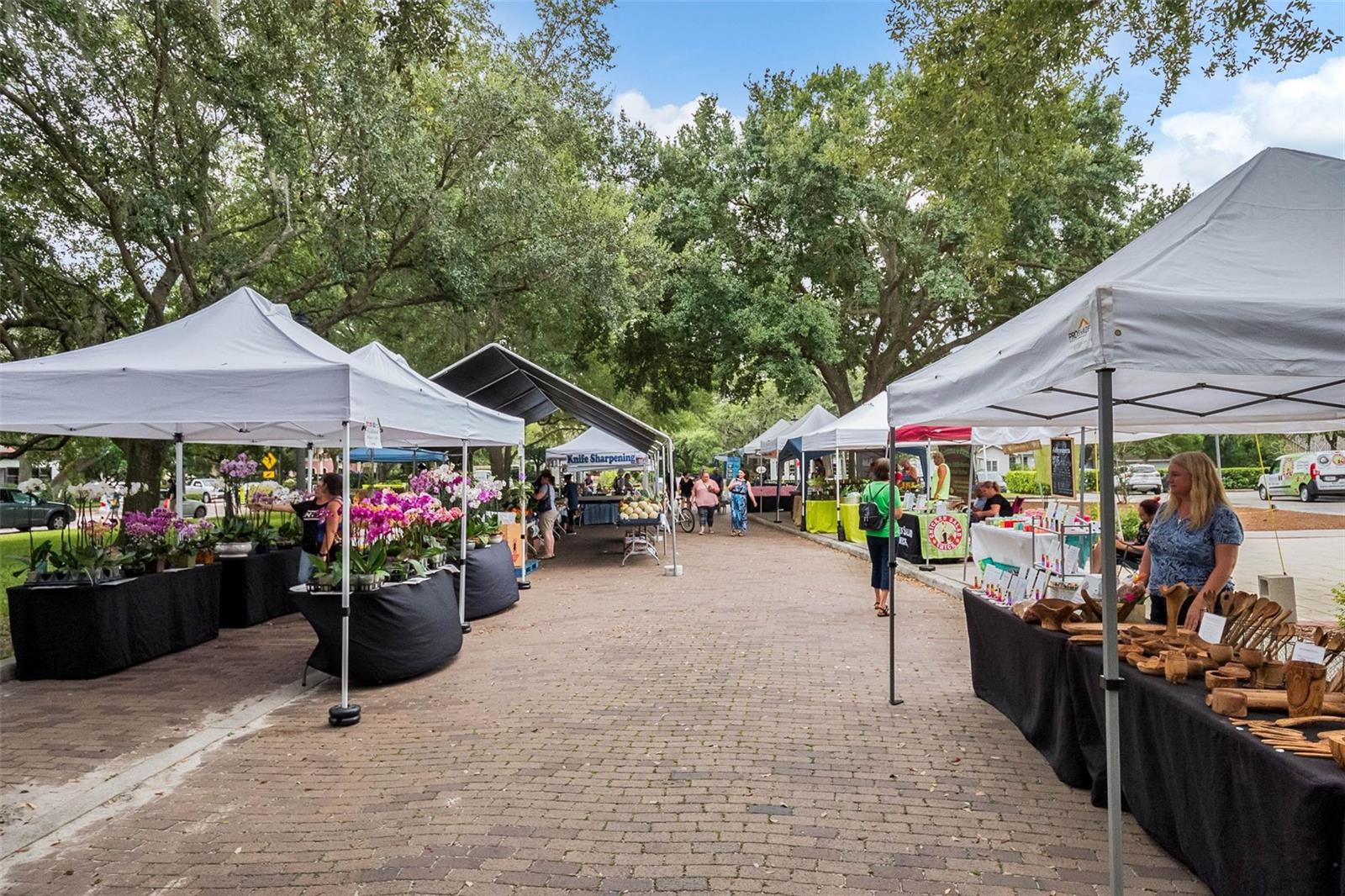 Image 62 of 63 For 2125 Kane Park Way