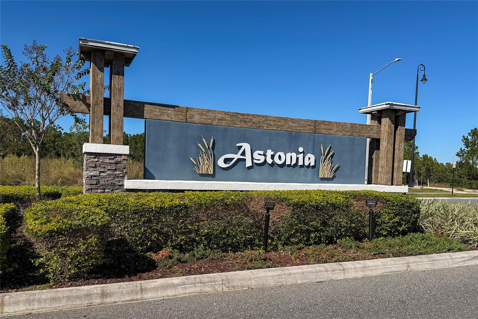 Image 2 of 34 For 419 Lily Lane